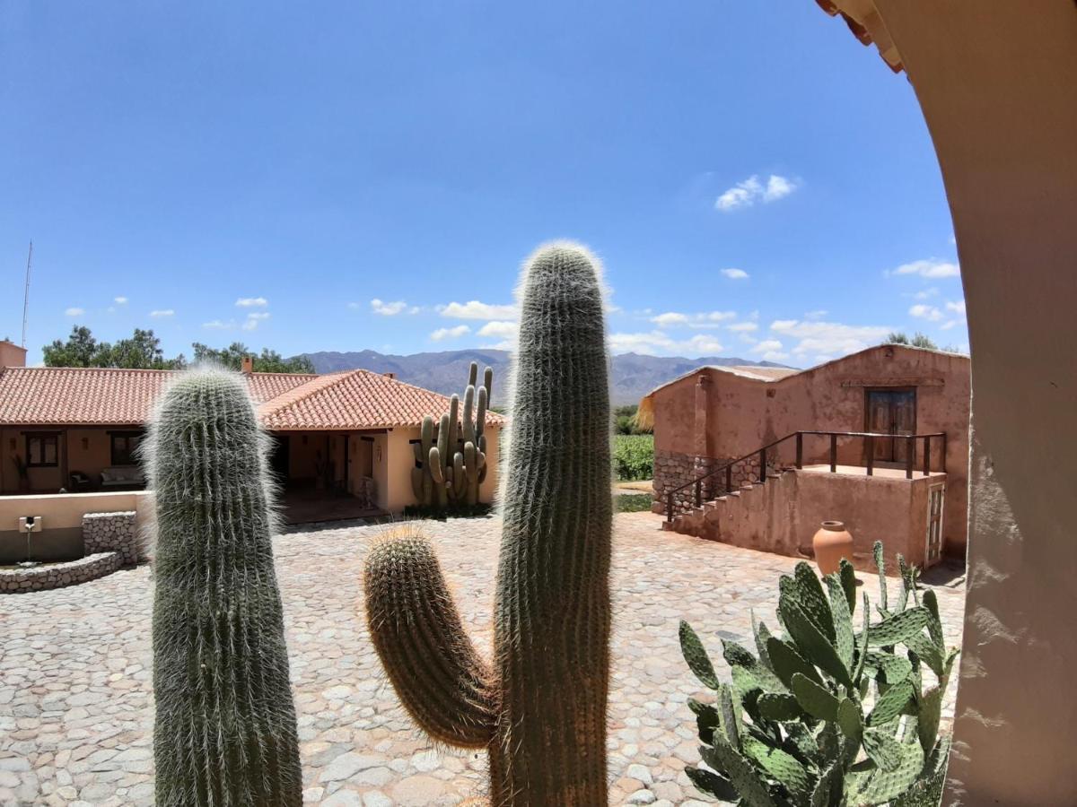 Estancia Colome Molinos Zewnętrze zdjęcie